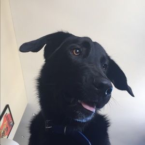 Meet your Posher, Maike